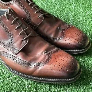 To Boot New York Dodd Burnished Wingtip Oxford 9.5 61eqDy53AfL._AC_SY300_QL30_.jpg main image 4